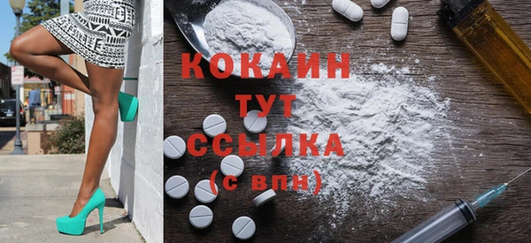 индика Медногорск